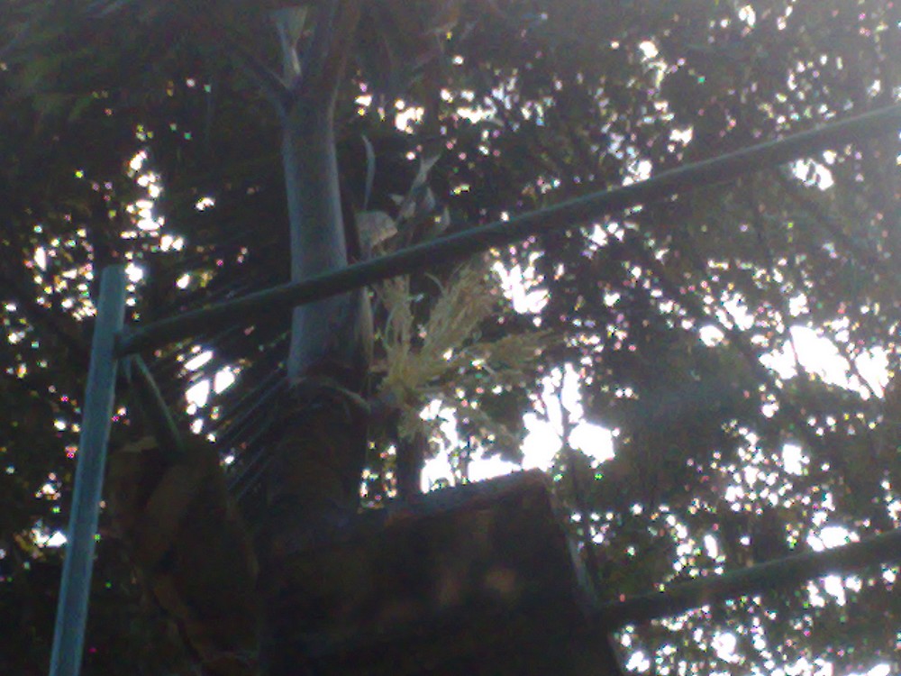 250620111824.jpg