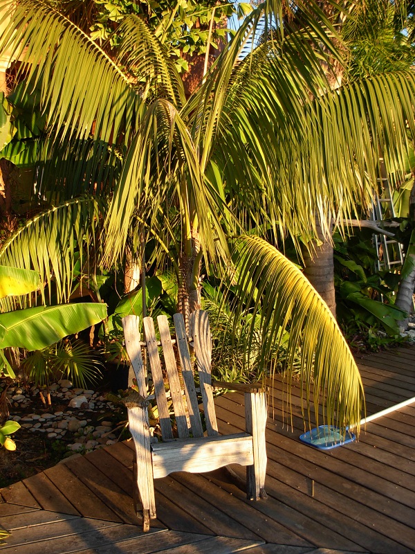 DSCN9885.JPG