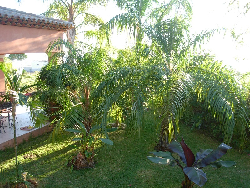 DSCN9882.JPG