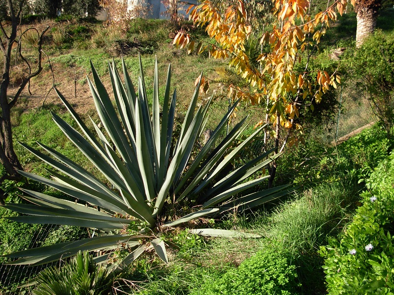 DSCN9881.JPG