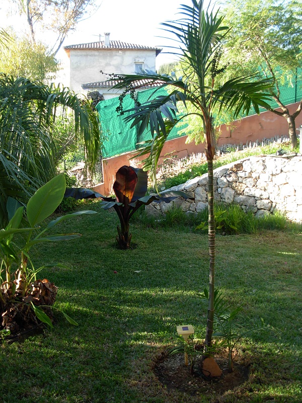 DSCN9873.JPG