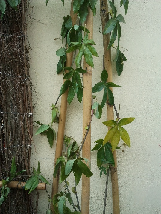 2011-09-04 11.34.41.jpg