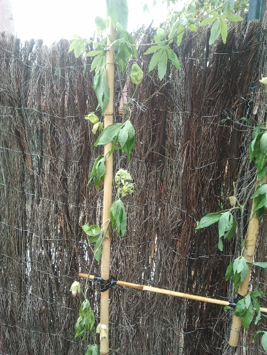 2011-09-04 11.34.55.jpg