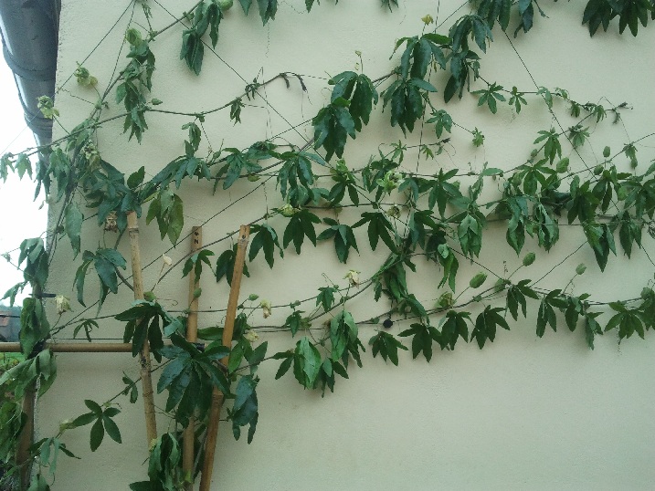 2011-09-04 11.35.28.jpg