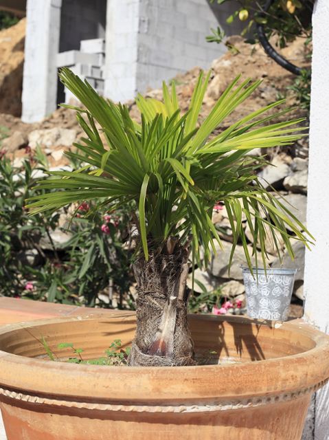 pot terrasse haut.jpg