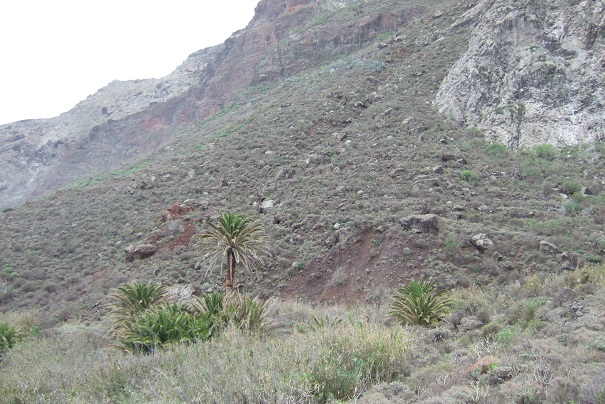 DSCF9939.JPG
