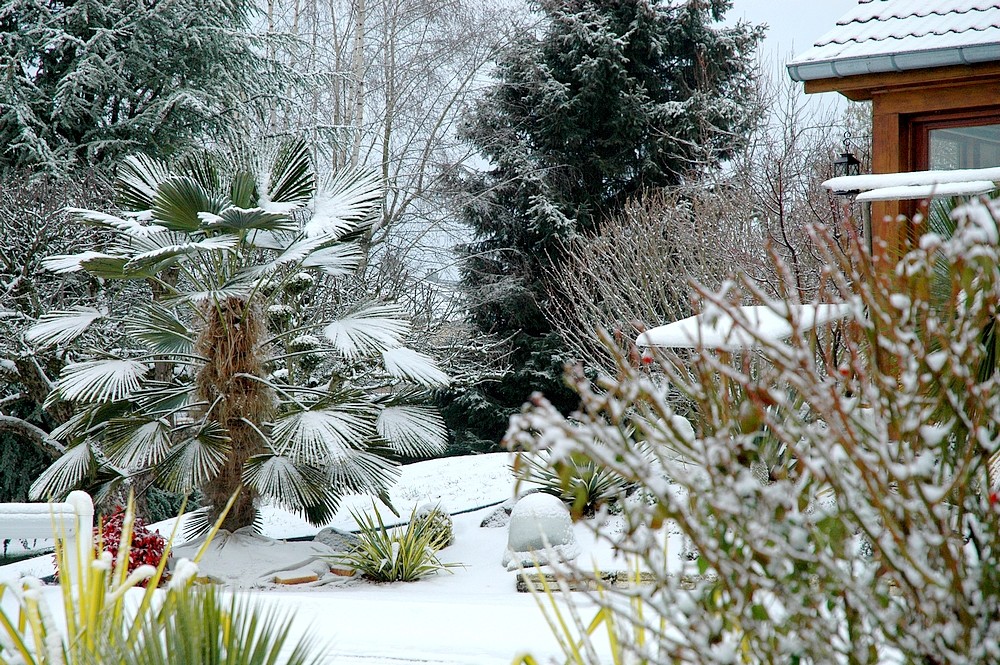 13-jardin.jpg