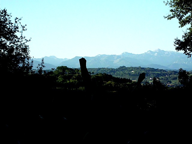 HPIM0110.JPG