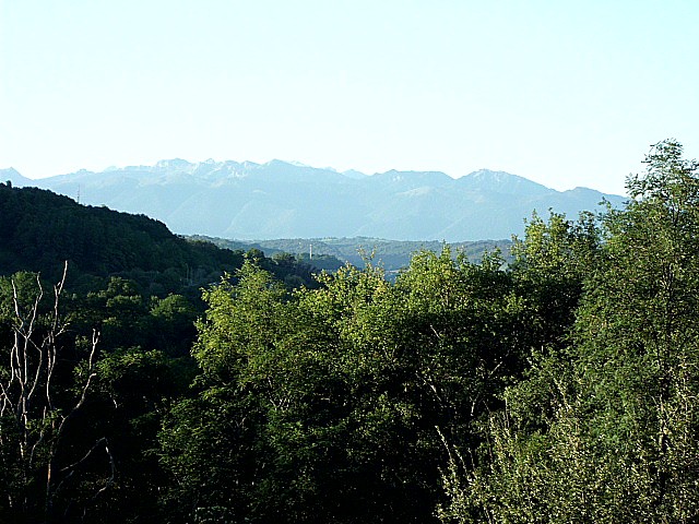 HPIM0111.JPG