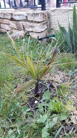 20190403_200343.jpg