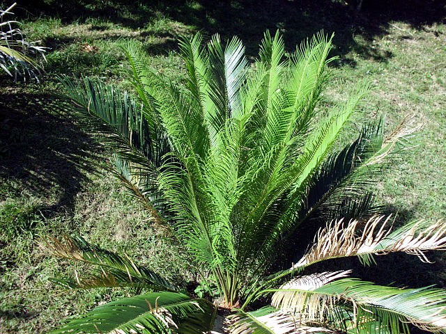 HPIM0113.JPG