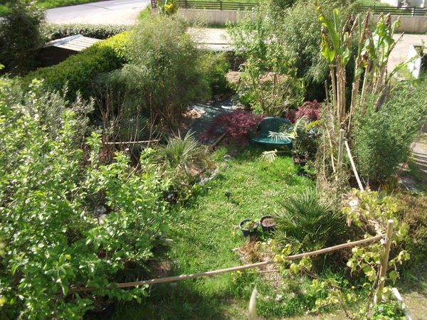 Vue du jardin