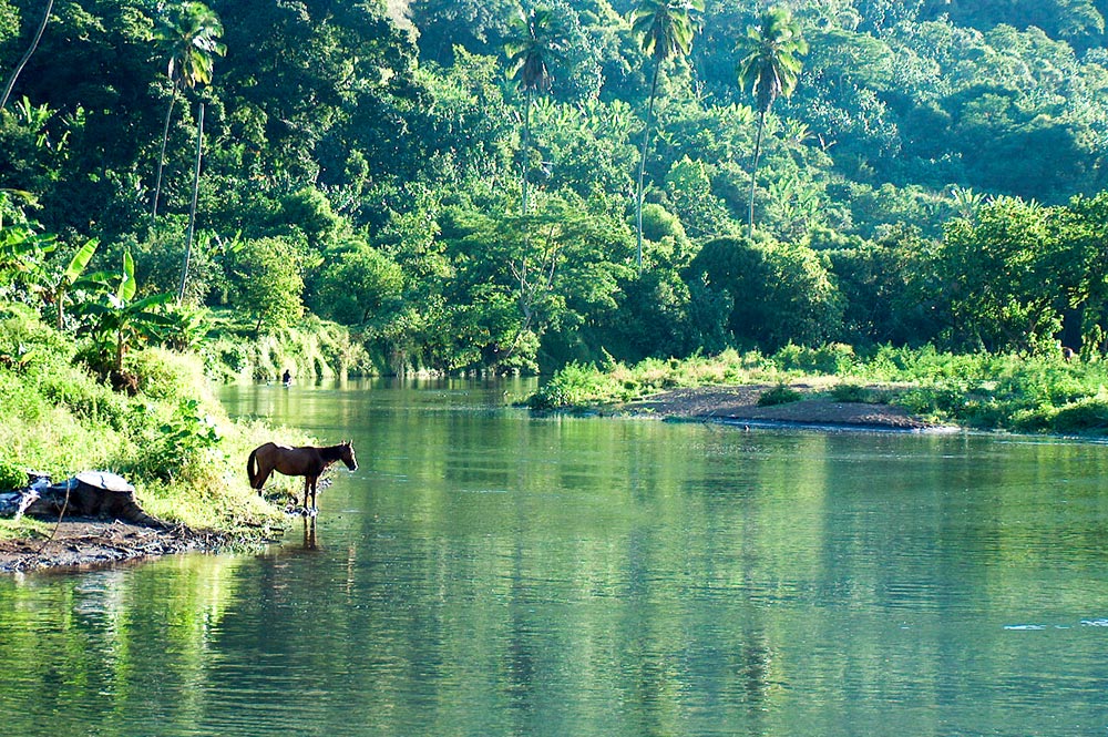 Rivière de Taipivai..jpg