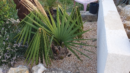 20190717_202729.jpg