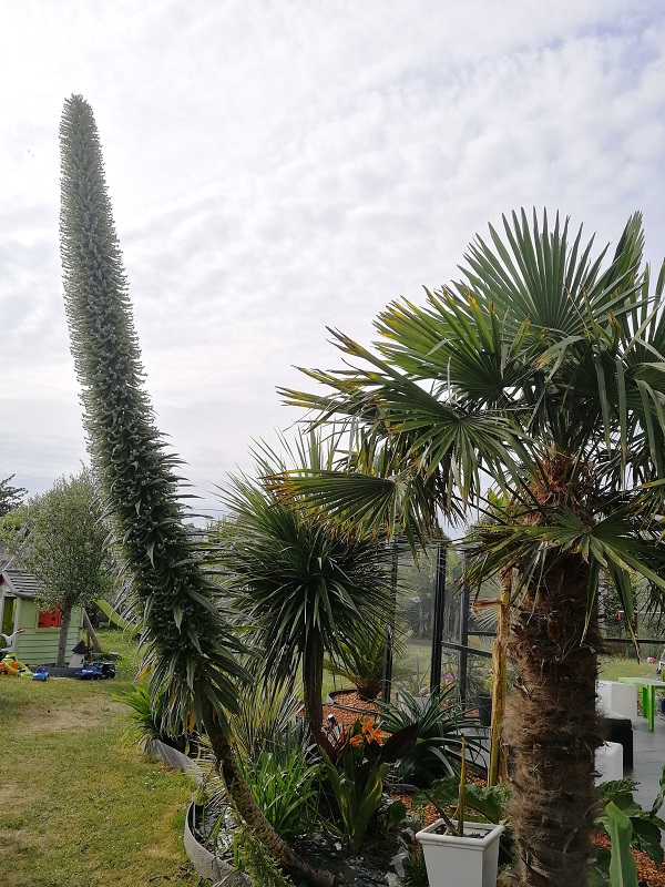 3.60m pour le penché