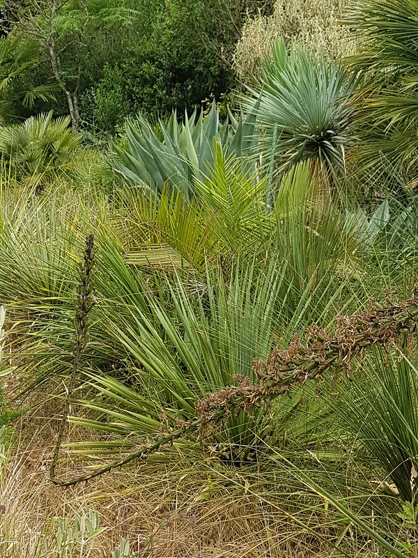20190721_110915.jpg