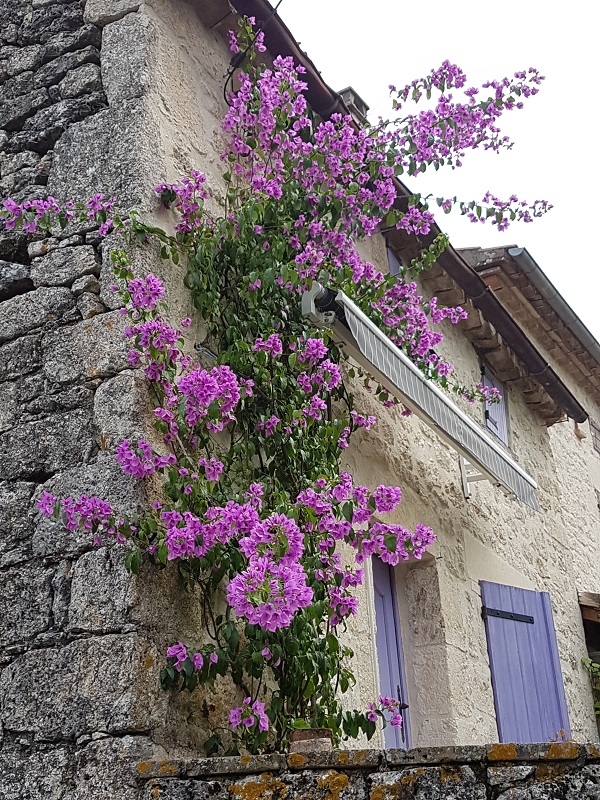 20190721_102240.jpg