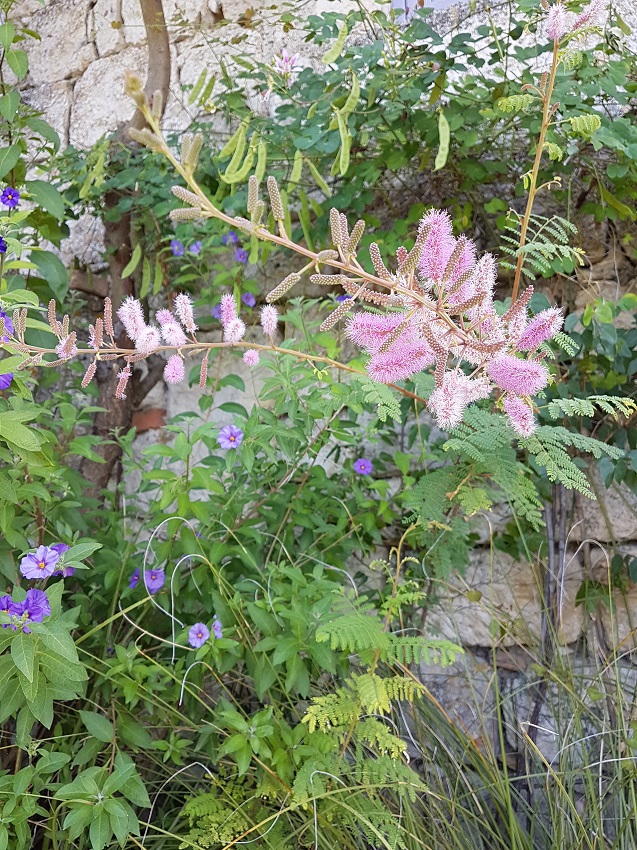 20190823_105408.jpg