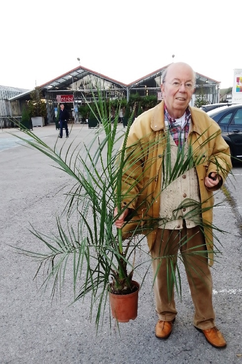 15 - Butia oct.2013 750.jpg