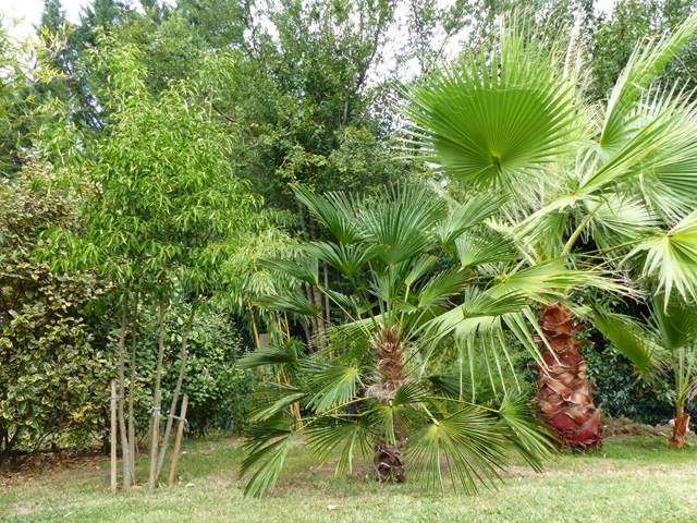 P1180019fh.jpg