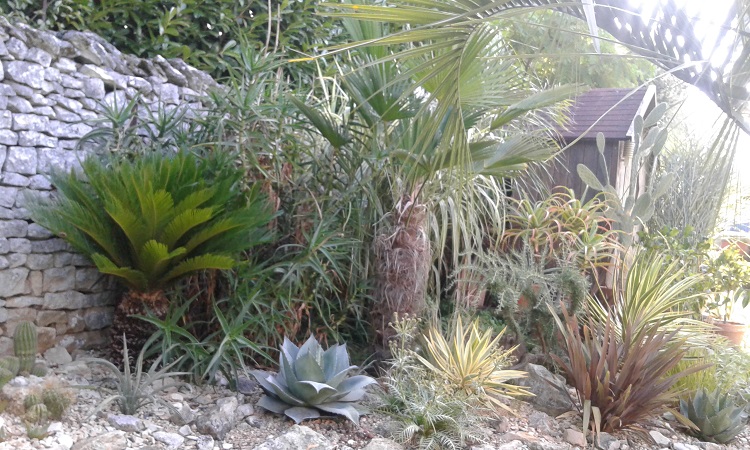 20190823_100142.jpg
