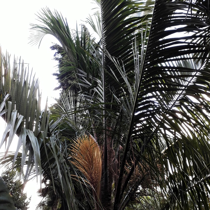 20191001_184710.jpg