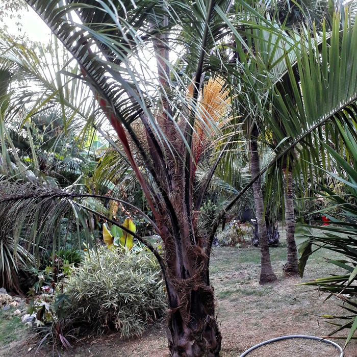 20191001_184856.jpg