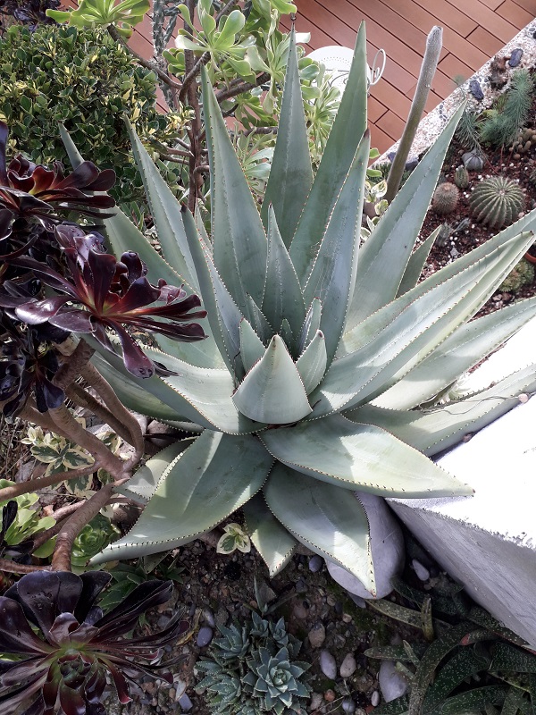 20191022_101442b.jpg