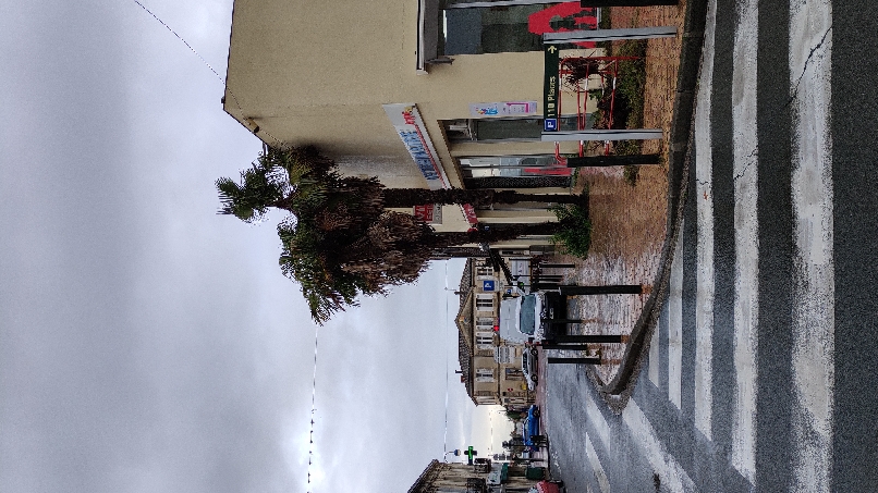 IMG_20191108_100232_resize_3.jpg