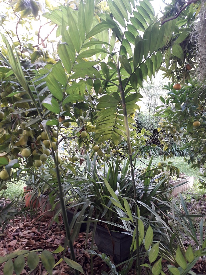 20191108_150121b.jpg