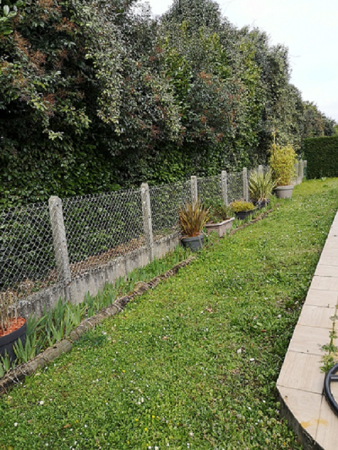 Arrière de la maison coté terrasse, Nord ouest derrière la GIGANTESQUE haie