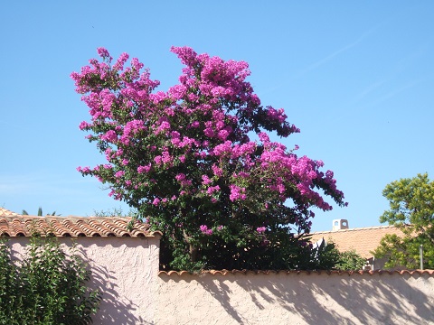 dscf5114.jpg