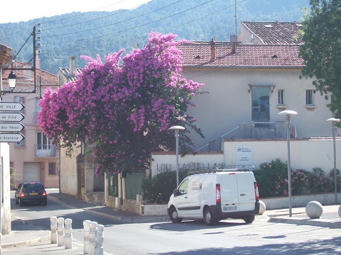 dscf5115.jpg