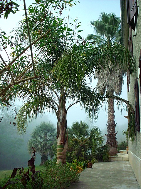HPIM0154.JPG
