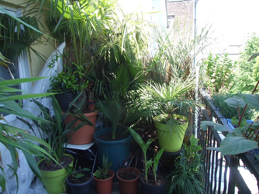 DSCF1749bis.jpg
