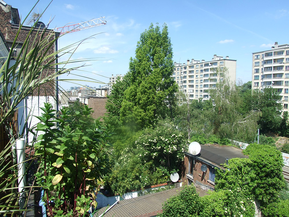 DSCF1769bis.jpg