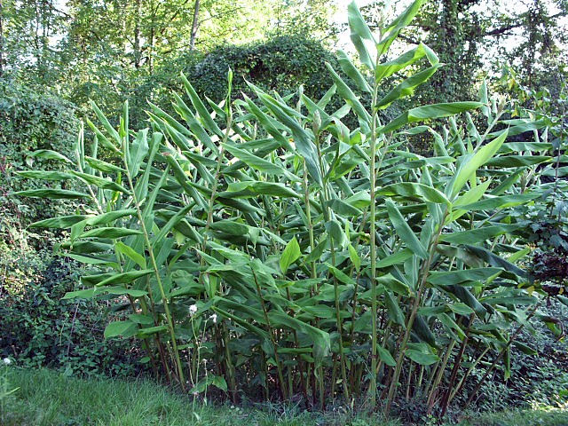 HPIM0156.JPG