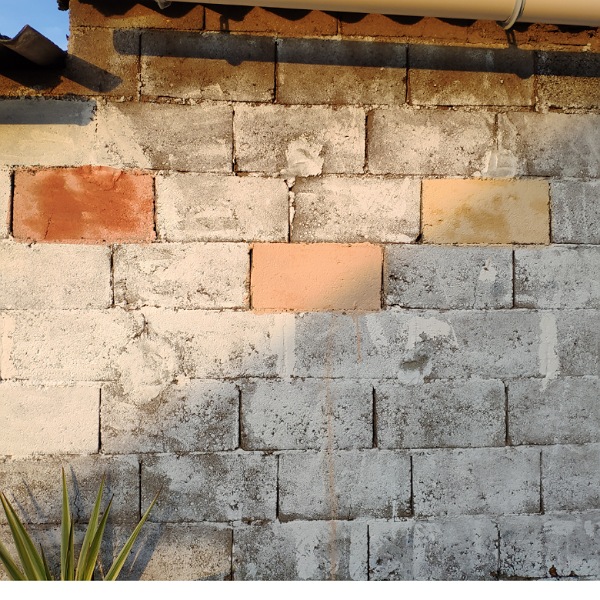 Hésitation sur la couleur de la peinture a faire sur le mur du jardin