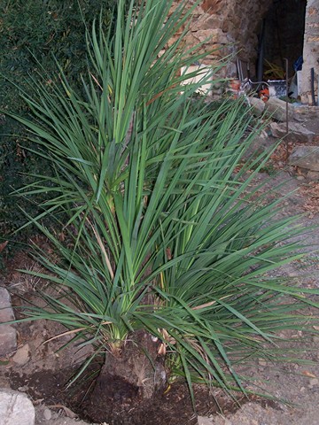 100_3870 (Copier).JPG