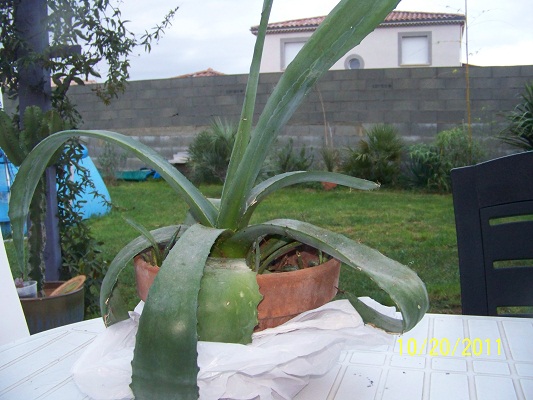 100_5598.JPG