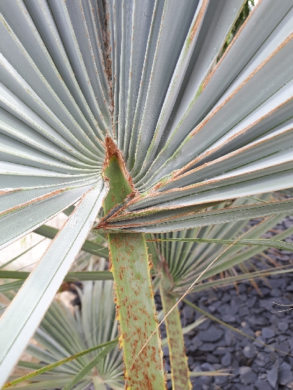 20200812_233511_resize_23.jpg