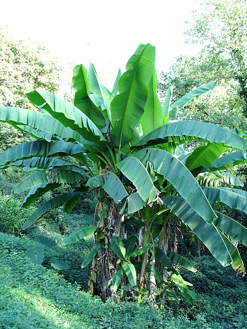 HPIM0157.JPG
