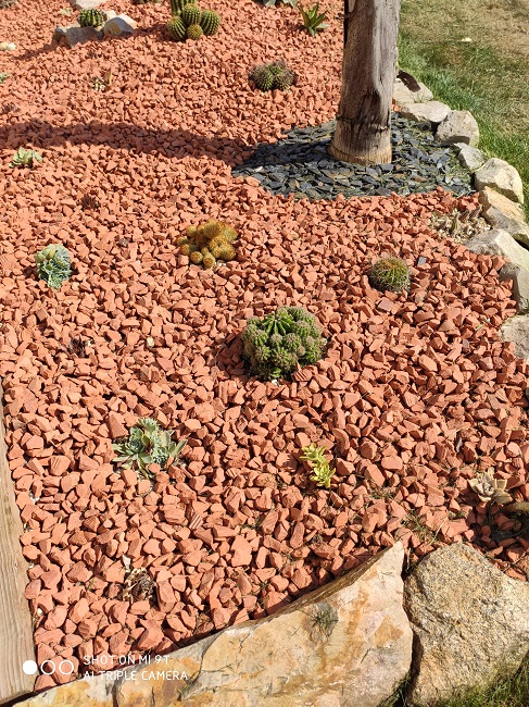 IMG_20200812_164815.jpg