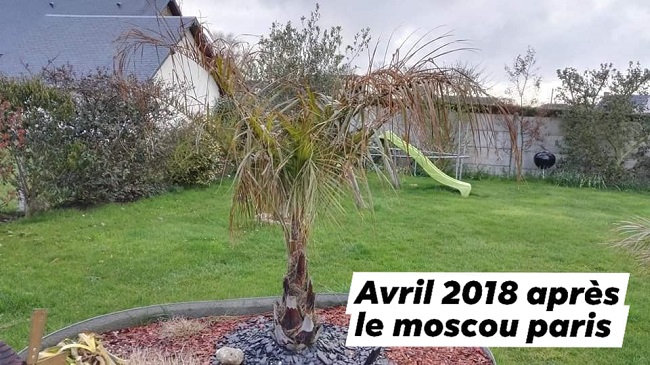 avril18.jpg