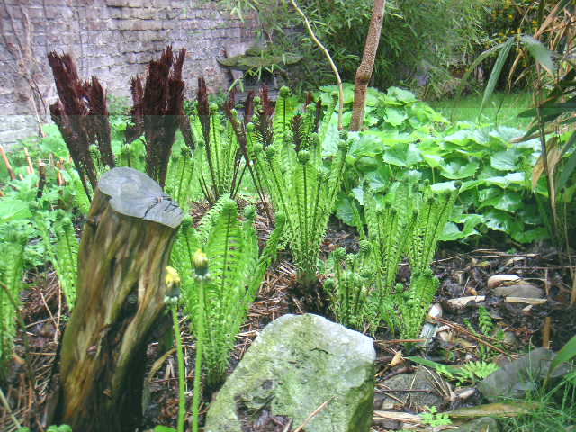 PICT0012.JPG