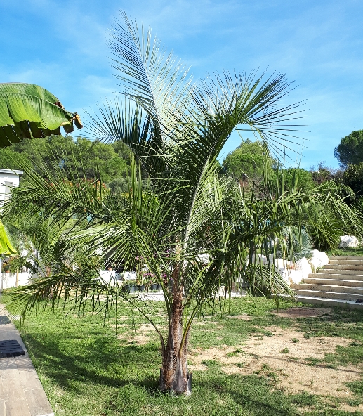 20201008_231630_resize_91.jpg