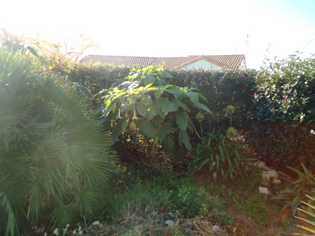 DSC00542.JPG