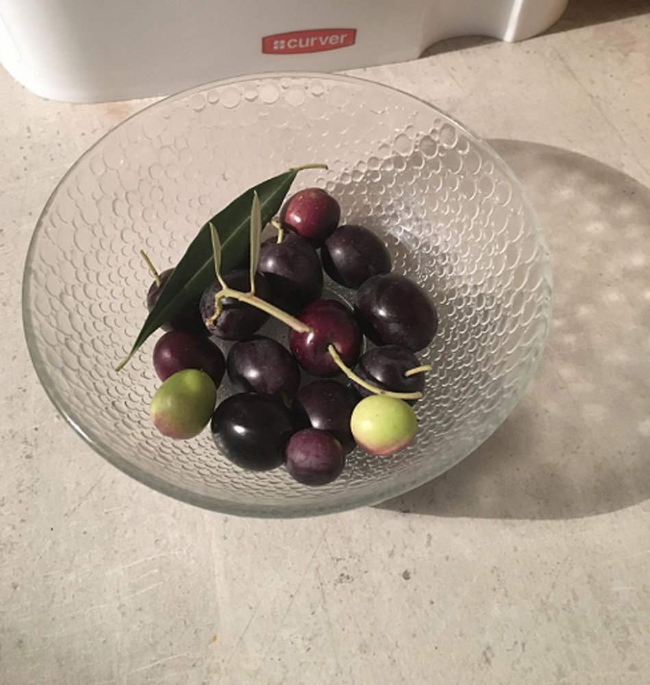 olives 1.jpg