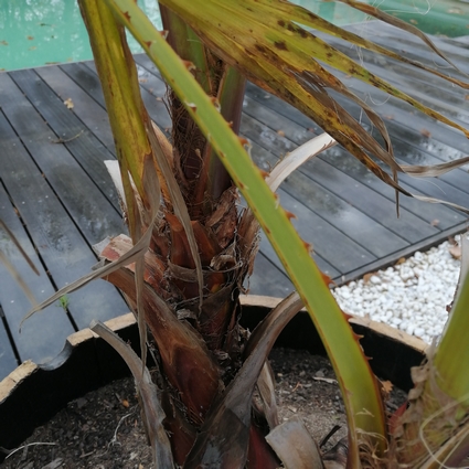 IMG_20201128_110057.jpg