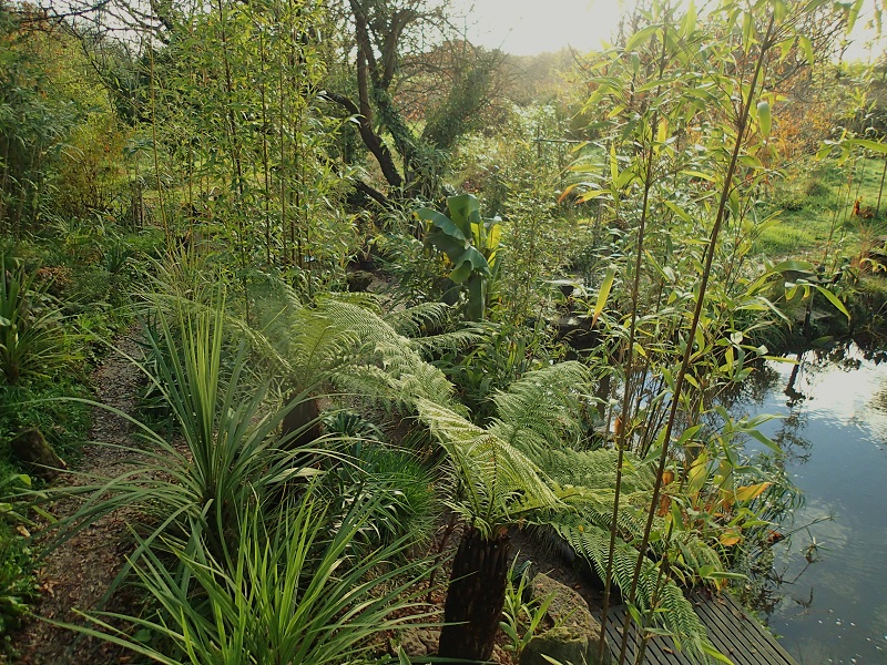 vue de la terrasse.JPG